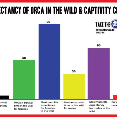 median life expectancy in captivity