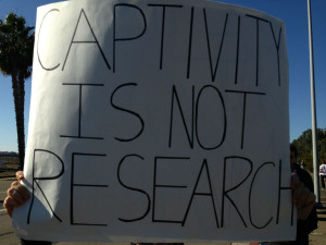 Orca Captivity is not Research