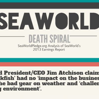 seaworld pledge analysis of seaworld earnings report