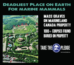 marineland canada mass graves