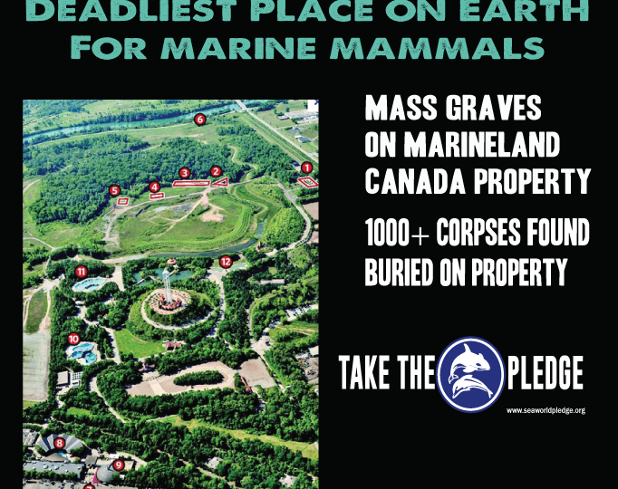 marineland canada mass graves