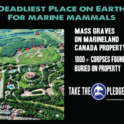 marineland canada mass graves