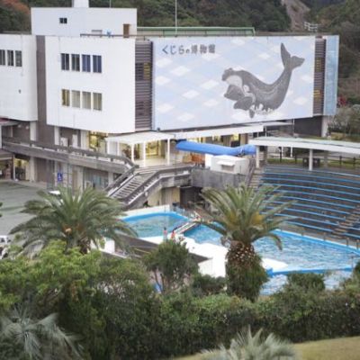 taiji whale museum