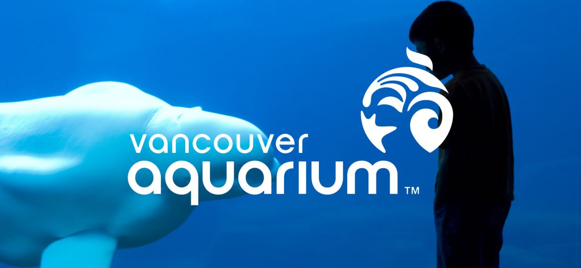 vancouver aquarium advocacy